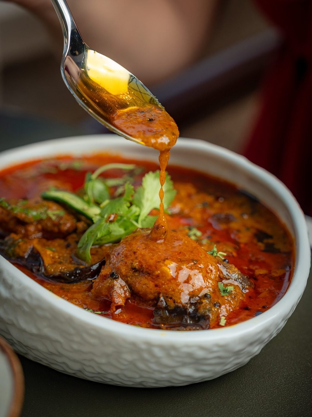 Rich curry texture close-up